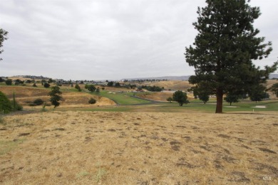 Snake River Lot For Sale in Clarkston Washington