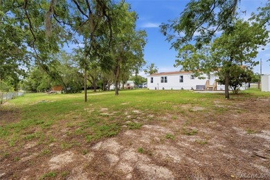 Welcome to this extensively renovated 4-bedroom, 2-bath home - photo 35