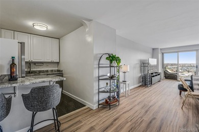 It's all about the View. Totally Renovated with an Open Kitchen - photo 3