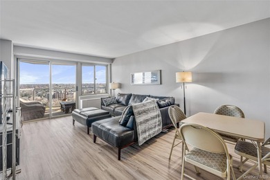 It's all about the View. Totally Renovated with an Open Kitchen - photo 6