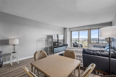 It's all about the View. Totally Renovated with an Open Kitchen - photo 9