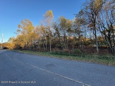 Indian Mountain Lakes Lot For Sale in Albrightsville Pennsylvania