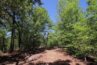 Set on almost 60 acres of lush woodland, this East Texas tract - photo 11
