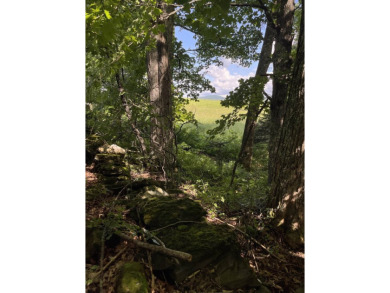 (private lake, pond, creek) Acreage For Sale in Calais Vermont