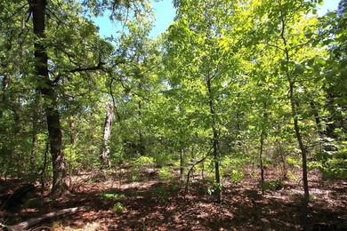 Set on almost 60 acres of lush woodland, this East Texas tract - photo 12