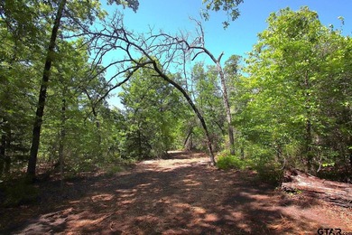 Set on almost 60 acres of lush woodland, this East Texas tract - photo 13