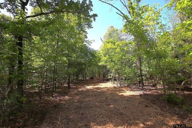 Set on almost 60 acres of lush woodland, this East Texas tract - photo 14