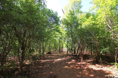 Set on almost 60 acres of lush woodland, this East Texas tract - photo 15