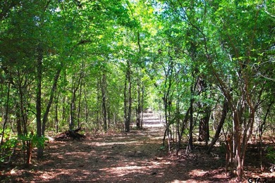 Set on almost 60 acres of lush woodland, this East Texas tract - photo 16