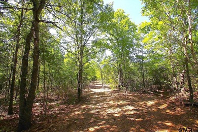 Set on almost 60 acres of lush woodland, this East Texas tract - photo 17