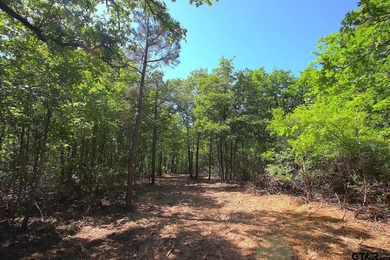 Set on almost 60 acres of lush woodland, this East Texas tract - photo 18