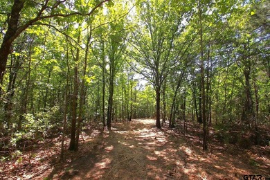 Set on almost 60 acres of lush woodland, this East Texas tract - photo 19