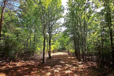 Set on almost 60 acres of lush woodland, this East Texas tract - photo 20