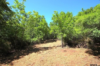 Set on almost 60 acres of lush woodland, this East Texas tract - photo 21