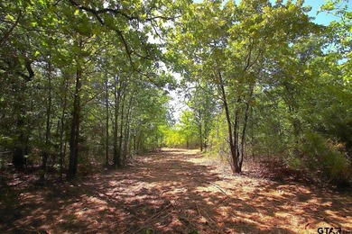 Set on almost 60 acres of lush woodland, this East Texas tract - photo 22