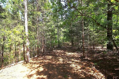 Set on almost 60 acres of lush woodland, this East Texas tract - photo 23