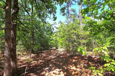 Set on almost 60 acres of lush woodland, this East Texas tract - photo 24