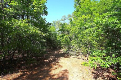 Set on almost 60 acres of lush woodland, this East Texas tract - photo 25
