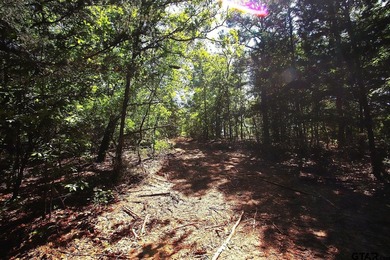 Set on almost 60 acres of lush woodland, this East Texas tract - photo 26