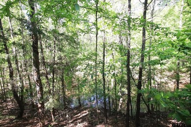 Set on almost 60 acres of lush woodland, this East Texas tract - photo 27