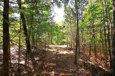 Set on almost 60 acres of lush woodland, this East Texas tract - photo 28