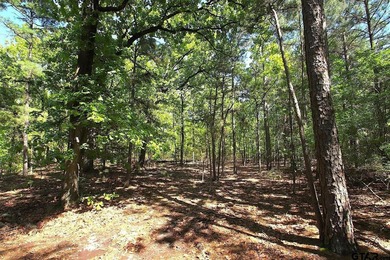 Set on almost 60 acres of lush woodland, this East Texas tract - photo 29