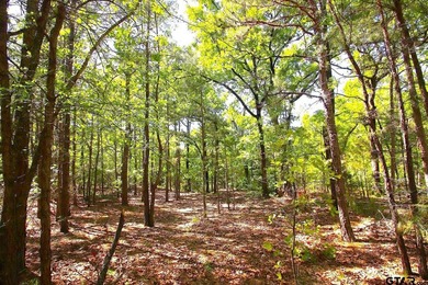 Set on almost 60 acres of lush woodland, this East Texas tract - photo 30