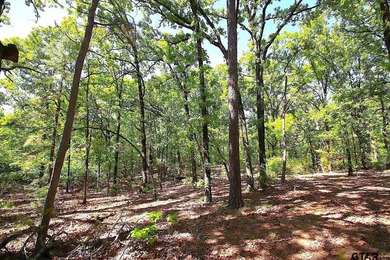 Set on almost 60 acres of lush woodland, this East Texas tract - photo 31
