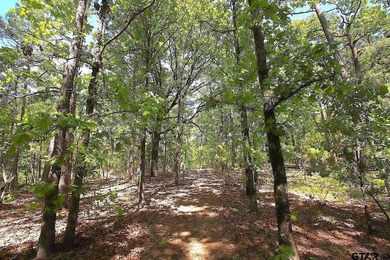 Set on almost 60 acres of lush woodland, this East Texas tract - photo 32