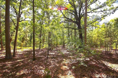 Set on almost 60 acres of lush woodland, this East Texas tract - photo 33