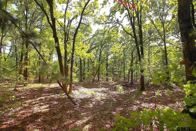Set on almost 60 acres of lush woodland, this East Texas tract - photo 35