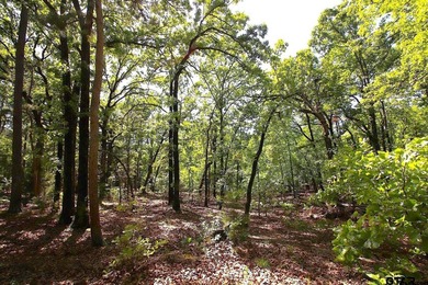 Set on almost 60 acres of lush woodland, this East Texas tract - photo 37