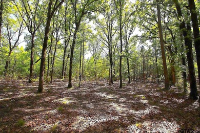 Set on almost 60 acres of lush woodland, this East Texas tract - photo 38