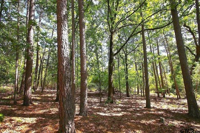 Set on almost 60 acres of lush woodland, this East Texas tract - photo 40