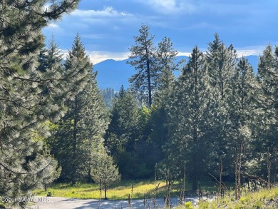 Coeur d Alene Lake Lot For Sale in Harrison Idaho
