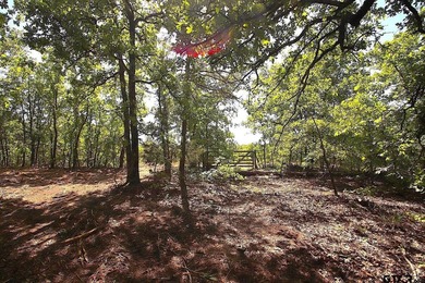 Set on almost 60 acres of lush woodland, this East Texas tract - photo 42