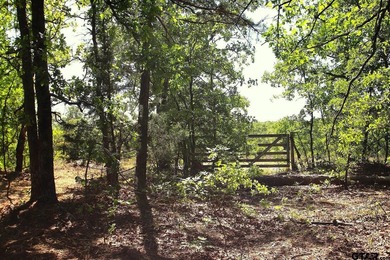 Set on almost 60 acres of lush woodland, this East Texas tract - photo 43