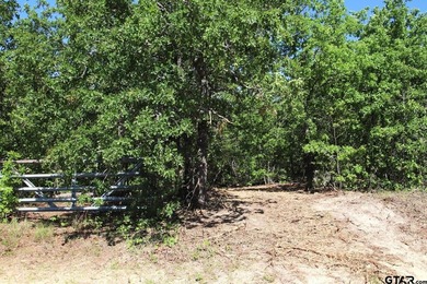 Set on almost 60 acres of lush woodland, this East Texas tract - photo 44