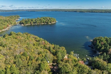 SEBAGO LAKE - Jordan Bay Waterfront! Privately nestled down a - photo 10