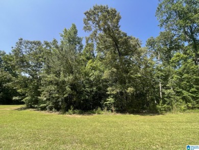 Lot in a highly sought after lake front neighborhood. This SOLD - Lake Lot SOLD! in Wedowee, Alabama