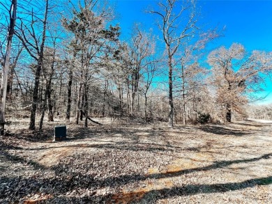 Lake Texoma Lot For Sale in Gordonville Texas