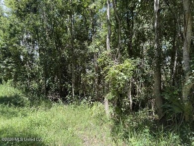 3 Lots on Juanita Street in Ocean Beach Estates in Ocean Springs - photo 3