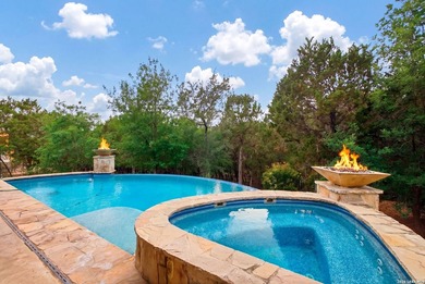 Luxury living in Dominion! Sprawling 1-story - photo 47