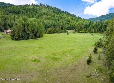 Lake Acreage For Sale in Sagle, Idaho