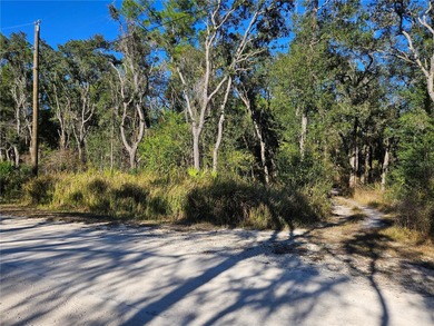 Withlacoochee River Lot For Sale in Webster Florida