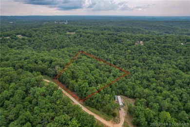 7.24 Acres in English Gardens offering lake access via boat ramp - photo 4