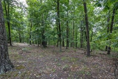 7.24 Acres in English Gardens offering lake access via boat ramp - photo 5