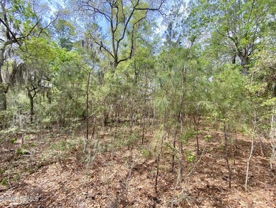 Live Oaks at Battery Creek. Buildable 1/4-acre lot near the - photo 22