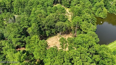 3-acre waterfront lot in Spring Brook Farms, located just off - photo 4