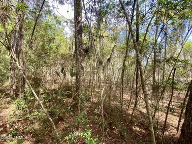 Live Oaks at Battery Creek. Buildable 1/4-acre lot near the - photo 25